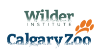 WilderInstitute_CalgaryZoo-CoLogo-SmallStack-NoTag-RGB-200×114